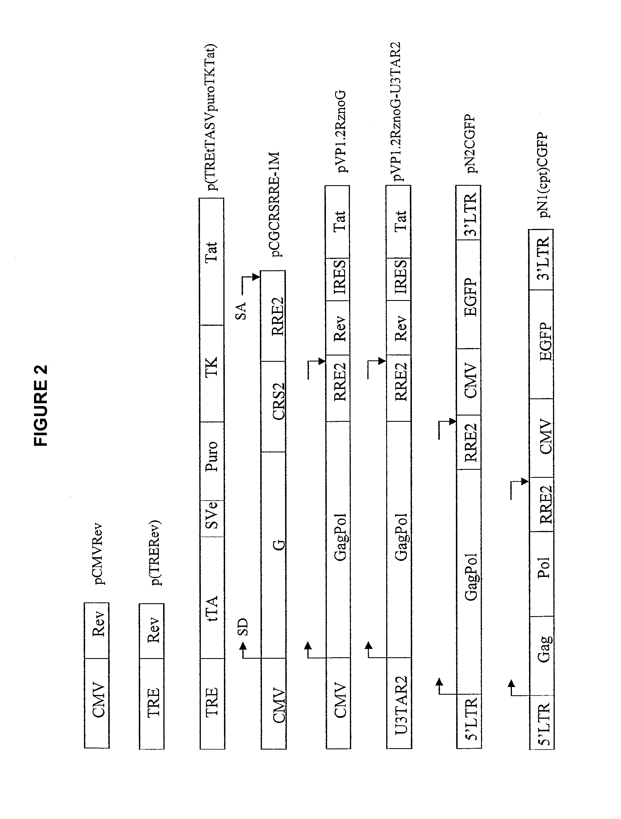 Regulated nucleic acid expression system