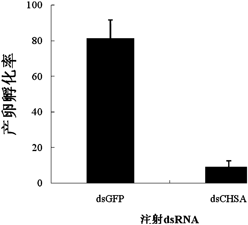 A kind of chitin synthesis inhibiting insecticide and its preparation method and application