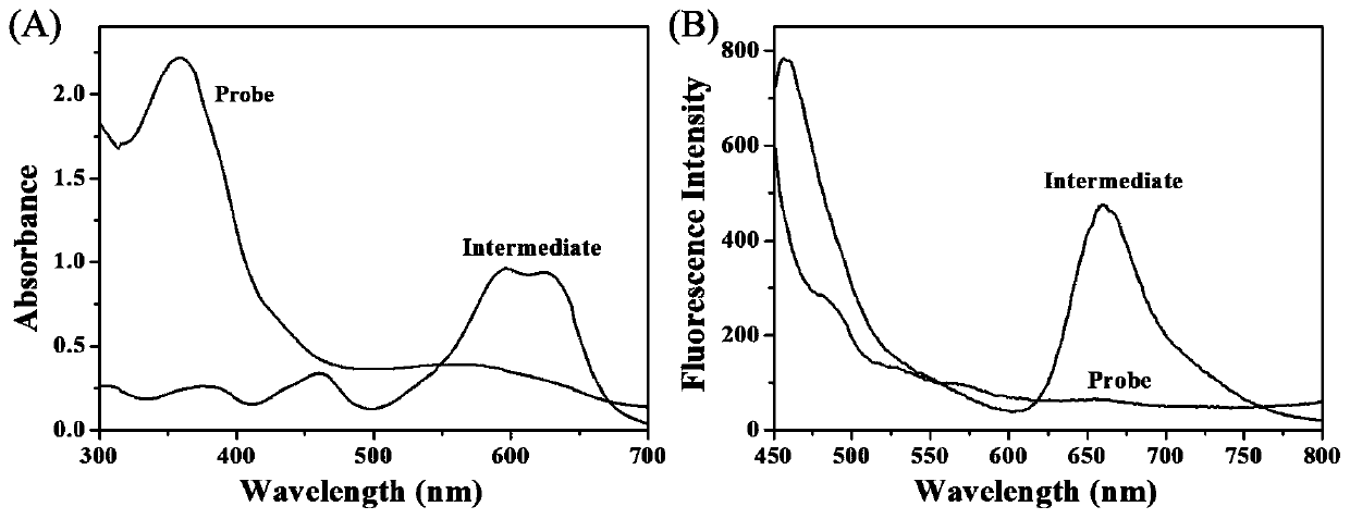 Nitroreductase responsive hypoxic probe compound, preparation and application thereof