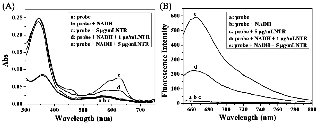 Nitroreductase responsive hypoxic probe compound, preparation and application thereof