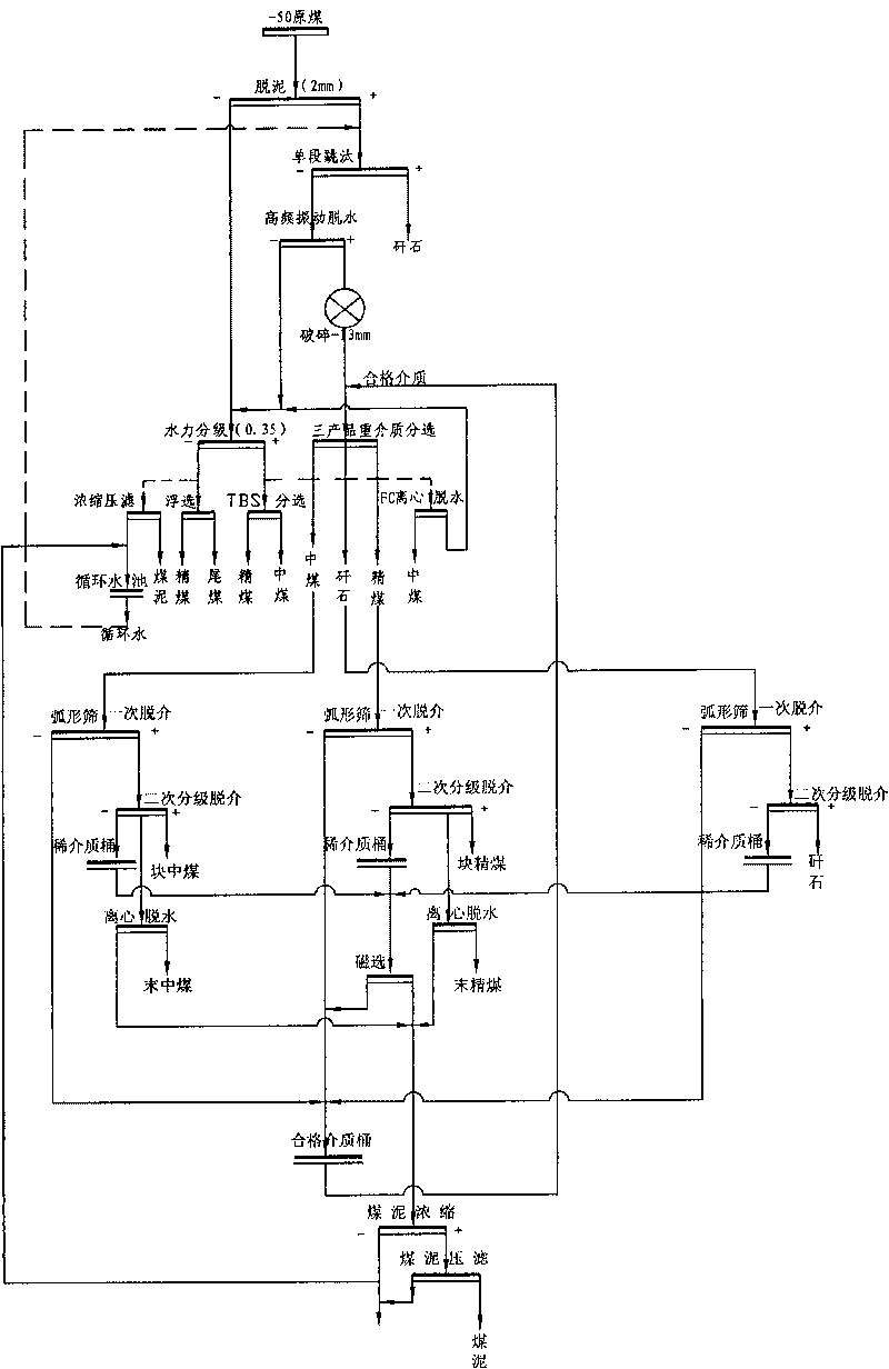 Raw coal washing process capable of realizing non-polar ash conditioning