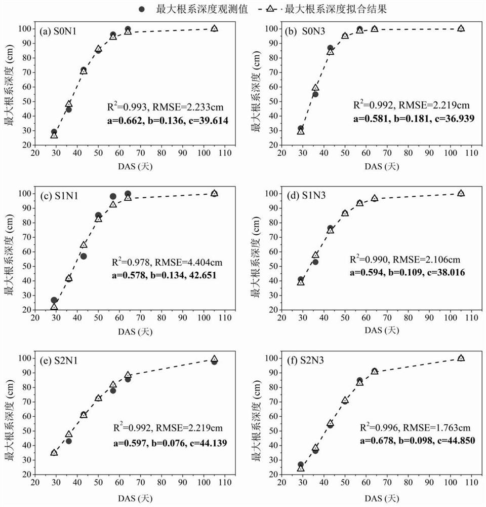 Construction method of sunflower dynamic root distribution model considering various salt and nitrogen levels