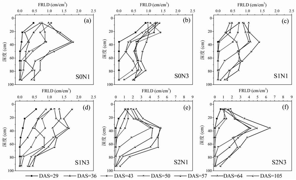 Construction method of sunflower dynamic root distribution model considering various salt and nitrogen levels