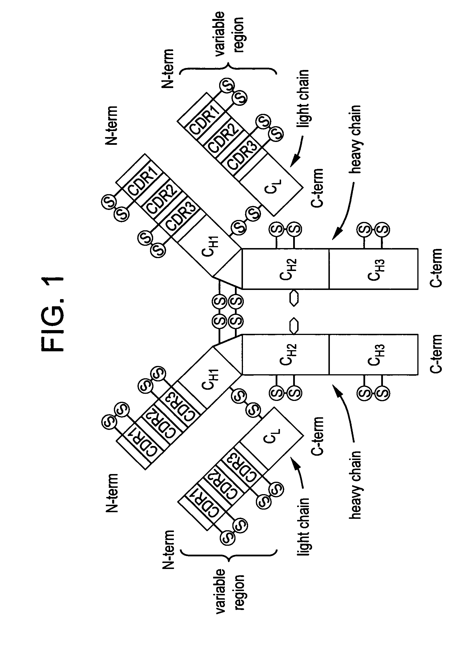 Stabilized liquid polypeptide formulations