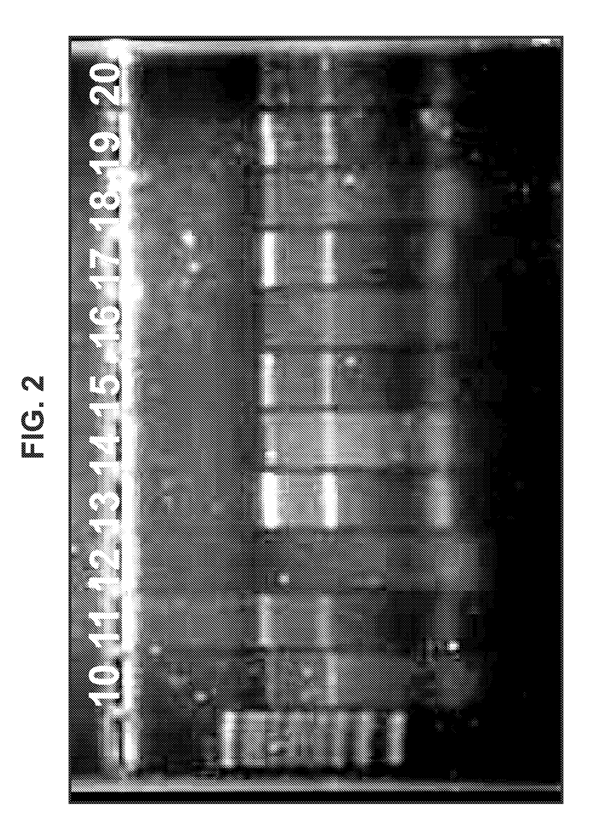 Cationic oil-in-water emulsions