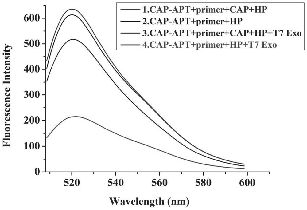 Non-labeled aptamer probe system and detection method and application thereof