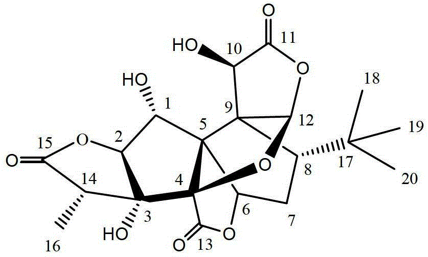 Composition taking high-purity ginkgolide B as active ingredient and preparation method thereof