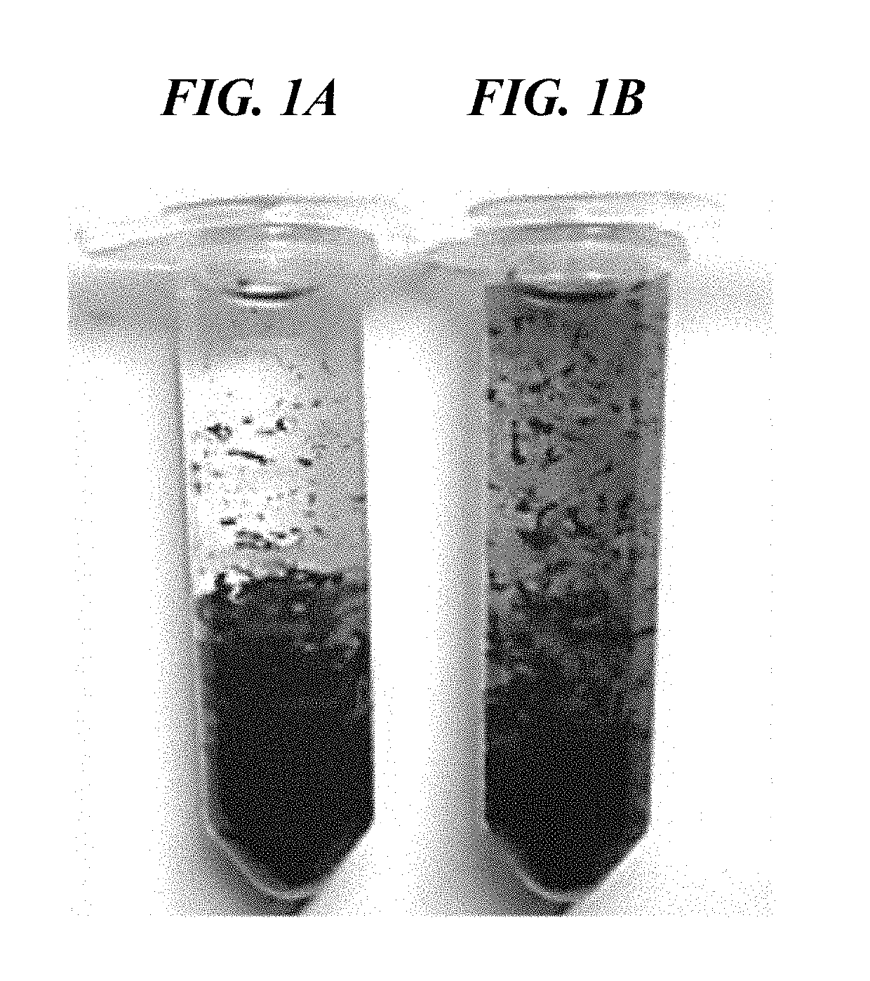 Collagenase assay