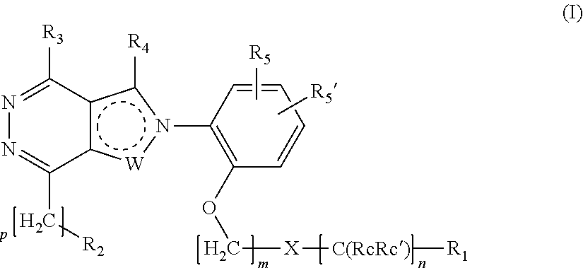 Ortho substituted phenylpyrazolo- and phenylpyrrolo-pyridazine derivatives having multimodal activity against pain