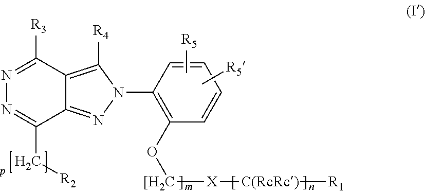 Ortho substituted phenylpyrazolo- and phenylpyrrolo-pyridazine derivatives having multimodal activity against pain