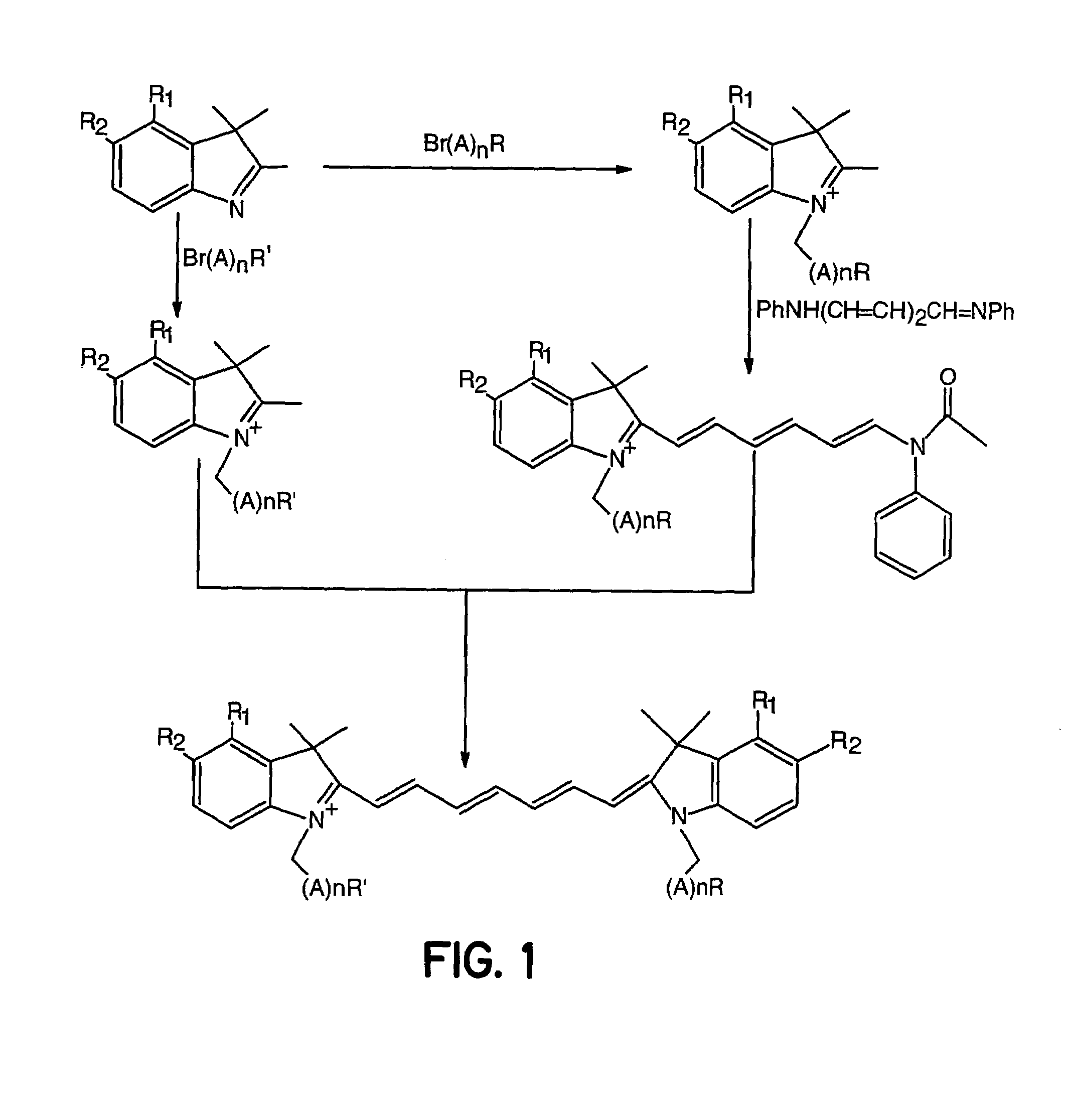 Tumor-targeted optical contrast agents