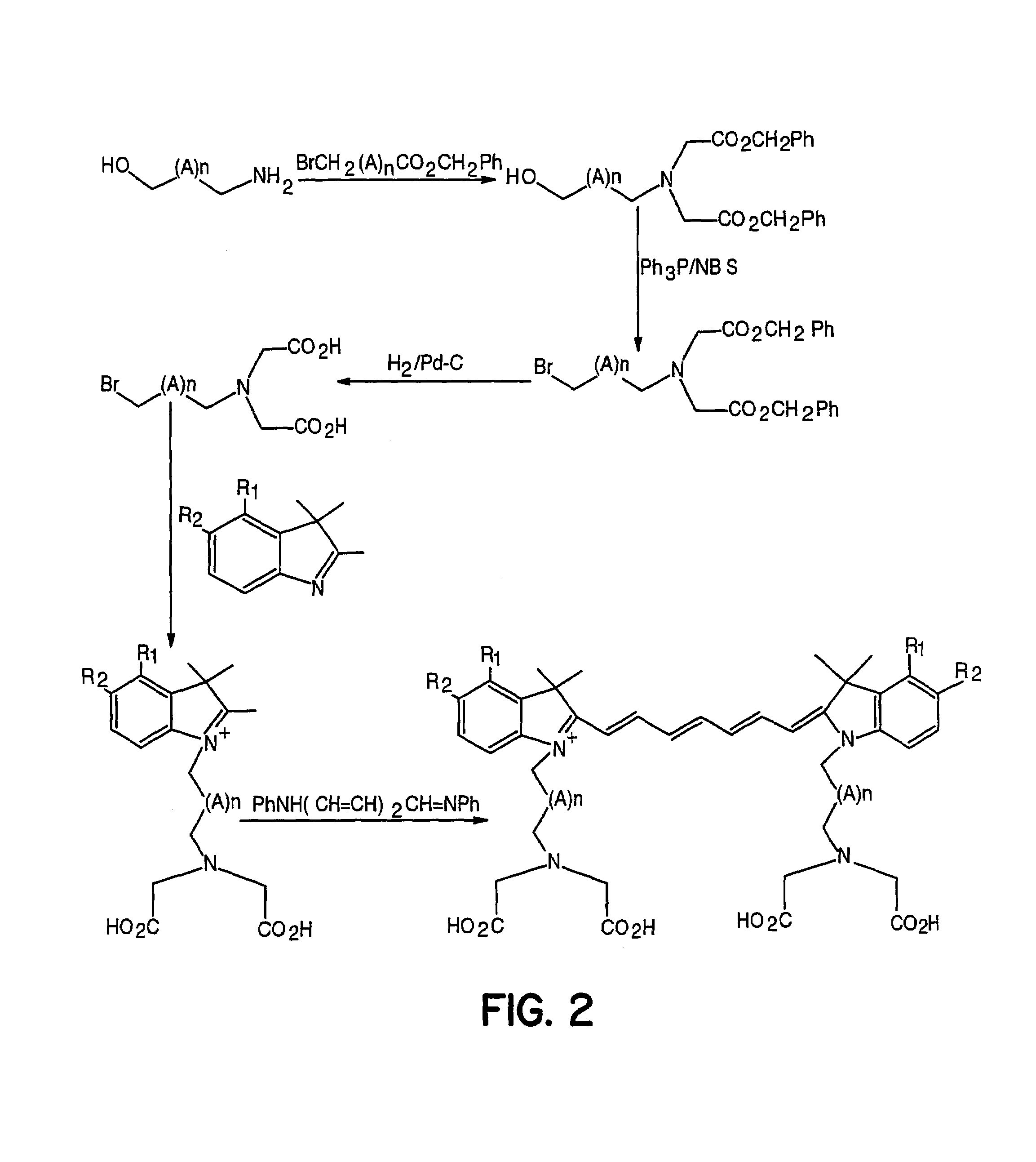 Tumor-targeted optical contrast agents