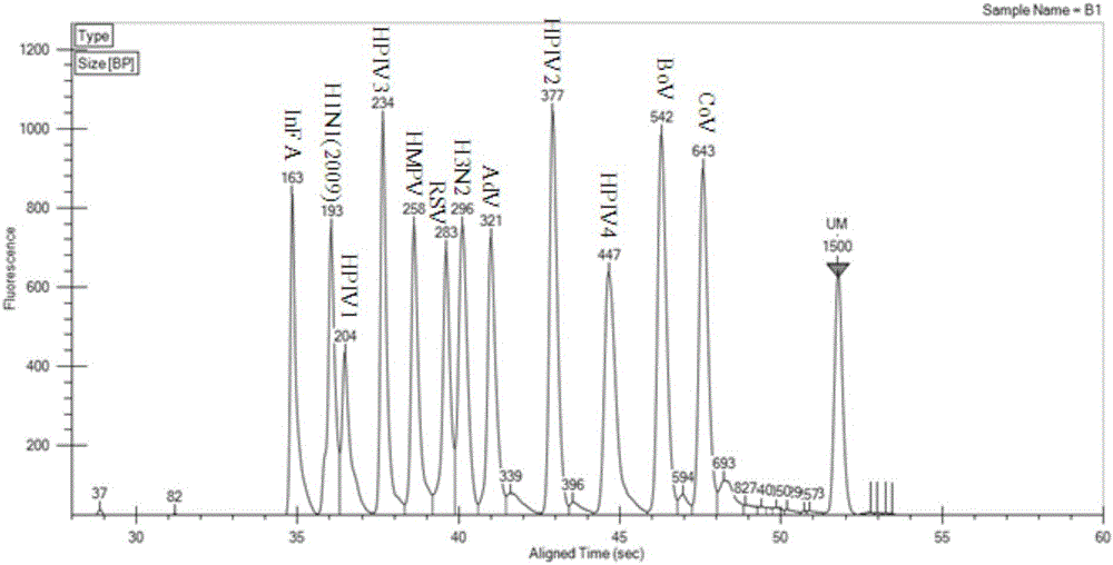 Multiplex PCR detection kit for nucleic acids of twelve respiratory viruses