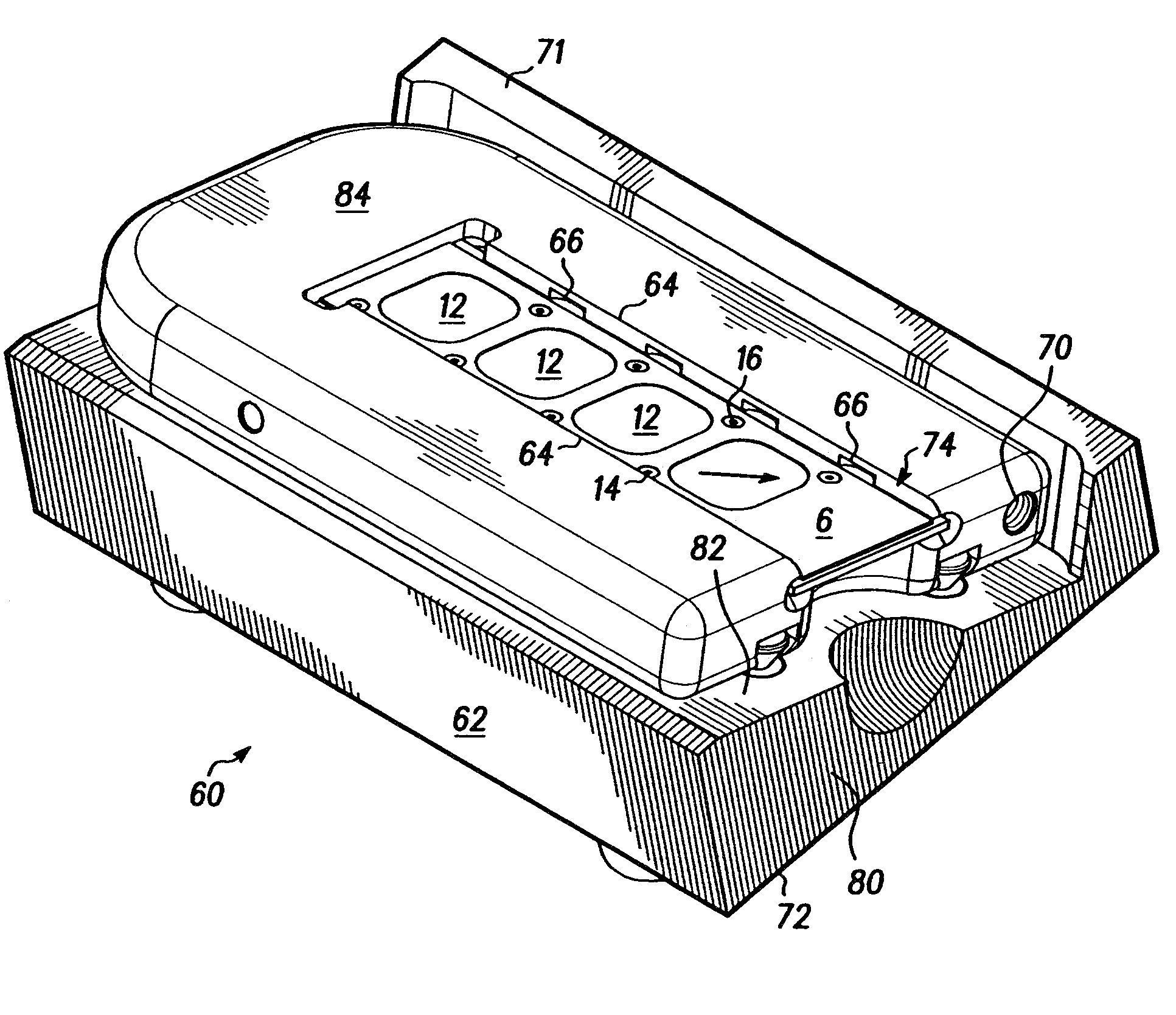 Biochip holder and method of collecting fluid