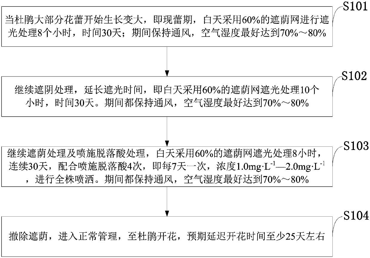 Flowering phase regulating method for delaying flowering time of cuckoo