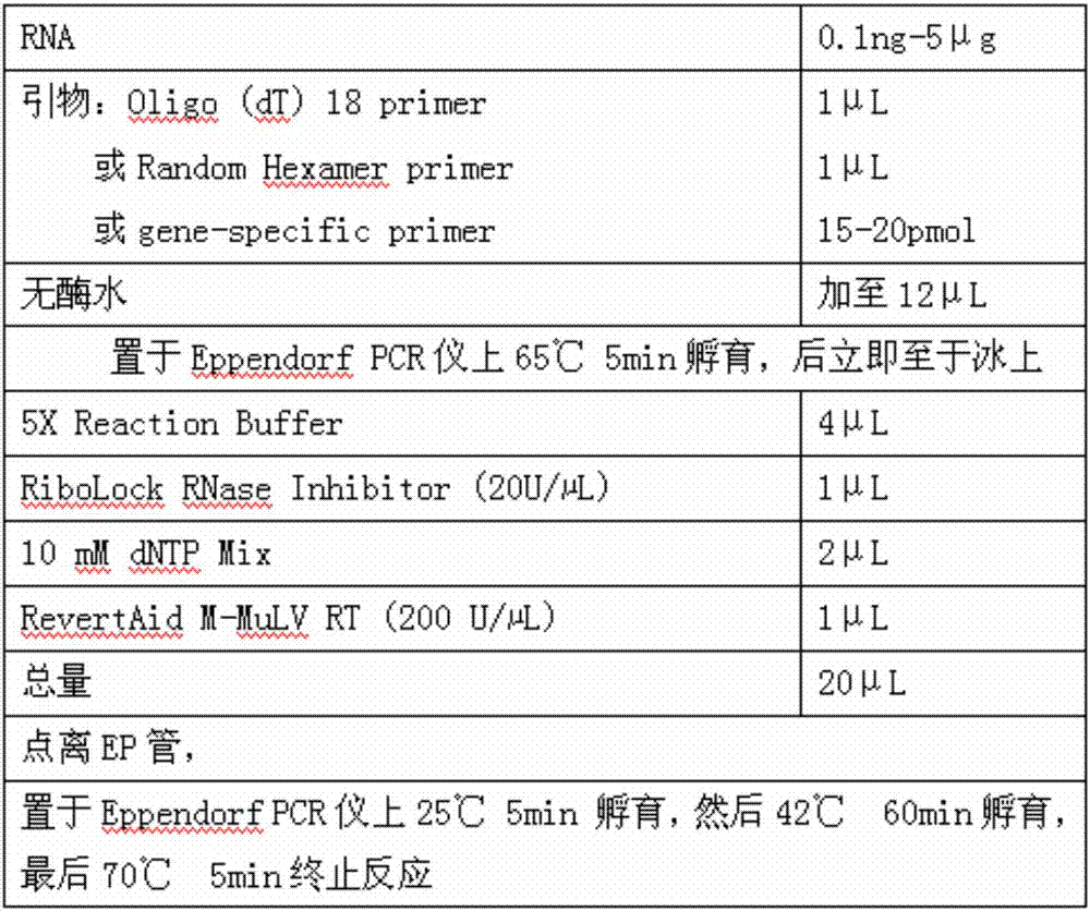 Molecular marker and kit for early diagnosis and prediction of septicopyemia complicated by acute kidney injury and application thereof