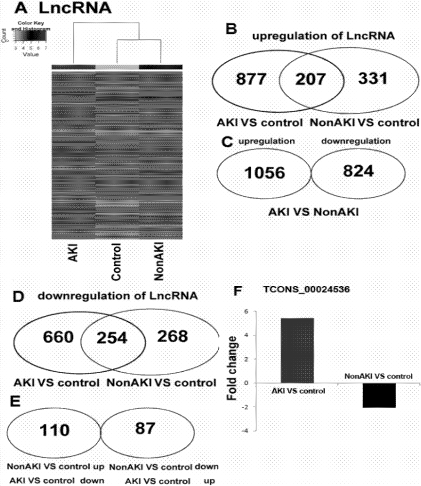 Molecular marker and kit for early diagnosis and prediction of septicopyemia complicated by acute kidney injury and application thereof