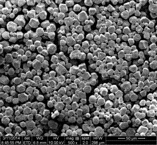 Glucose high-polymer marine concrete anti-dispersion agent and preparation method thereof