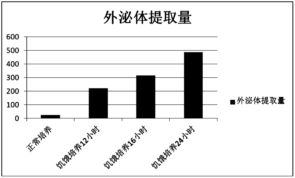 Preparation containing autologous endometrium mesenchymal cell exosome