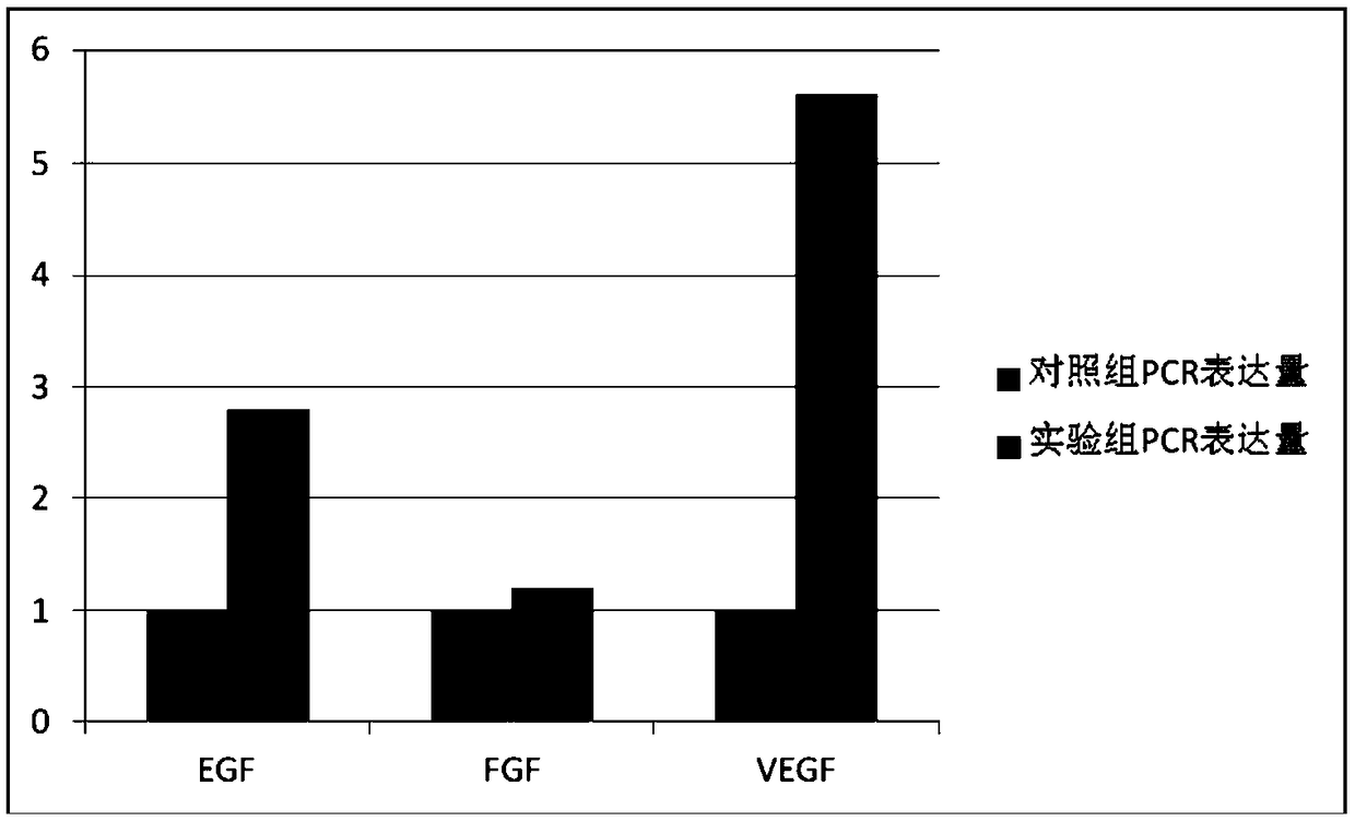 Preparation containing autologous endometrium mesenchymal cell exosome