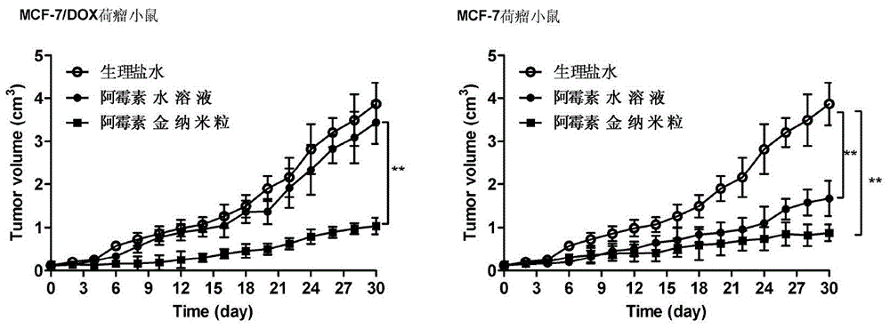 A kind of anti-drug-resistant tumor targeting preparation, preparation method and application