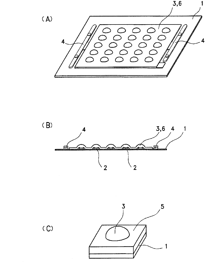 Resin Encapsulation Apparatus And Resin Encapsulation Process