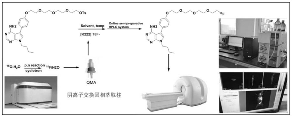 A kind of 18f-pet/ct tracer with 7-deaza adenine base as mother nucleus and preparation method thereof