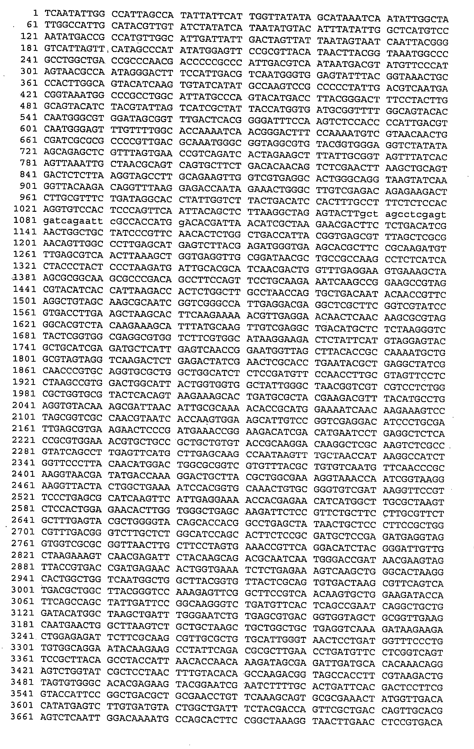 Method for the recovery of non-segmented, nagative-stranded RNA viruses from cDNA