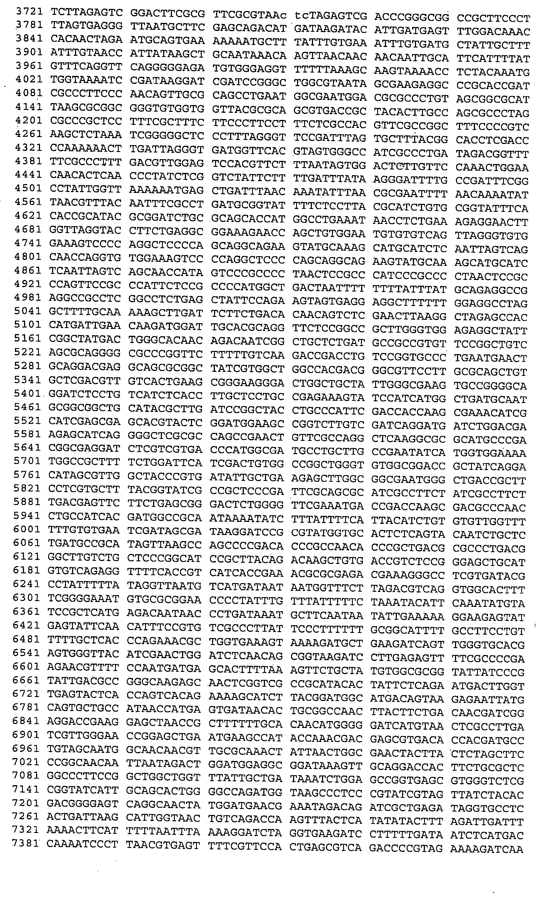 Method for the recovery of non-segmented, nagative-stranded RNA viruses from cDNA