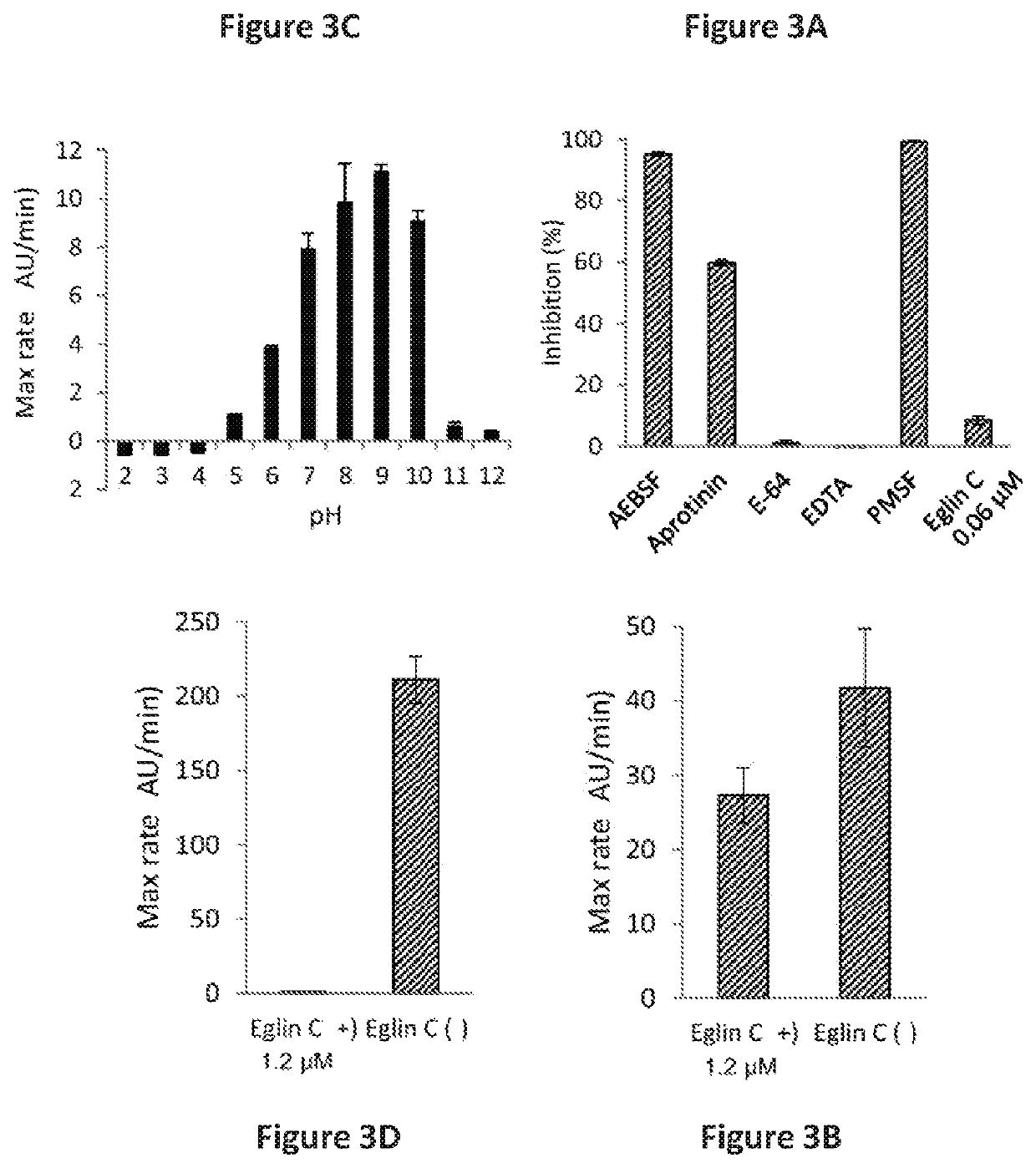 <i>Rothia </i>subtilisins, S8A family proteases, as therapeutic enzymes for application in gluten intolerance disorders