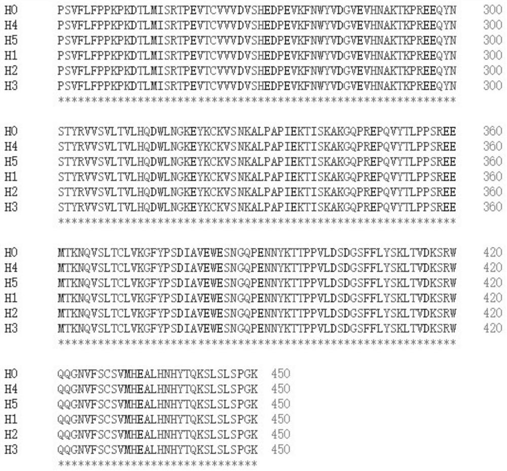 Low immunogenicity anti-tnf-α humanized monoclonal antibody tcx063 and its application