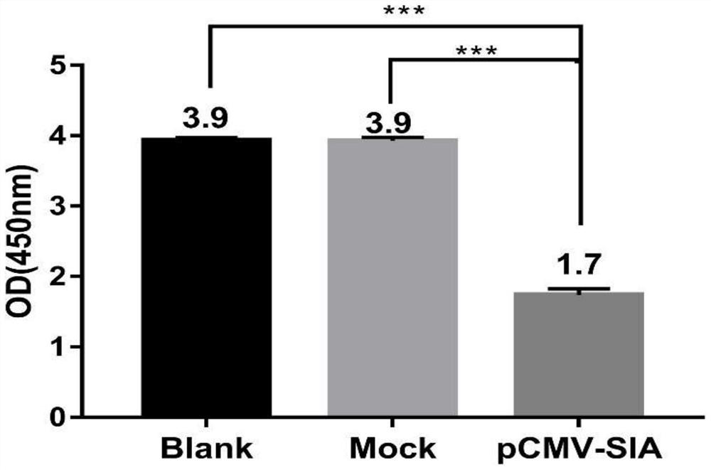 Recombinant expression vector for specifically and highly expressing SIA in muscle-derived cells and application of recombinant expression vector