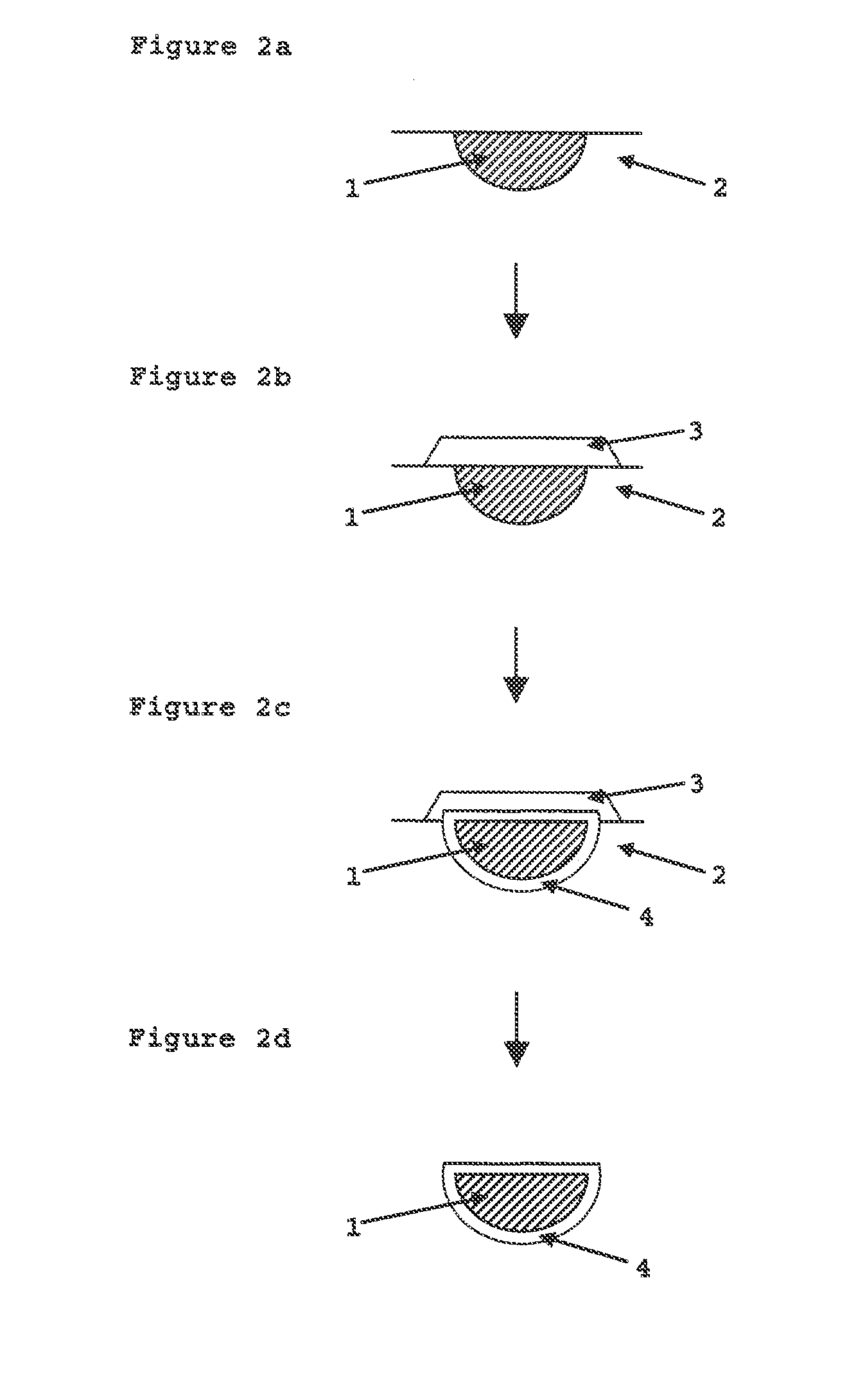 Edible Composition