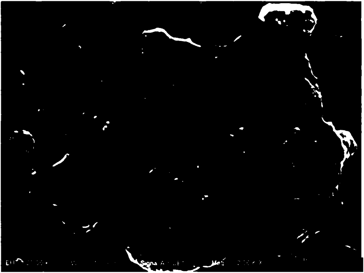 Organic-inorganic composite electrolyte and preparation method thereof