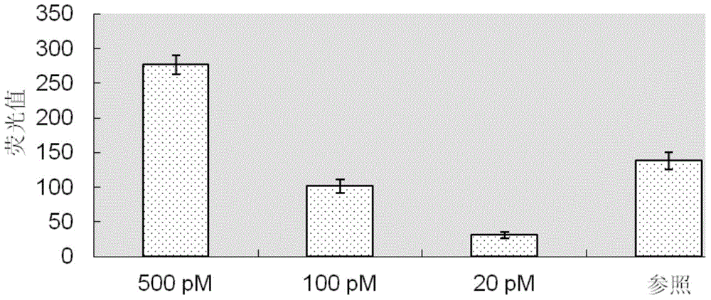 Nucleic acid detection method