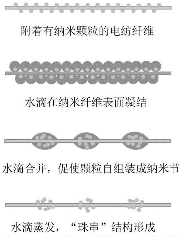 Preparation method for self-assembly of electrospinning rosary-like fibers
