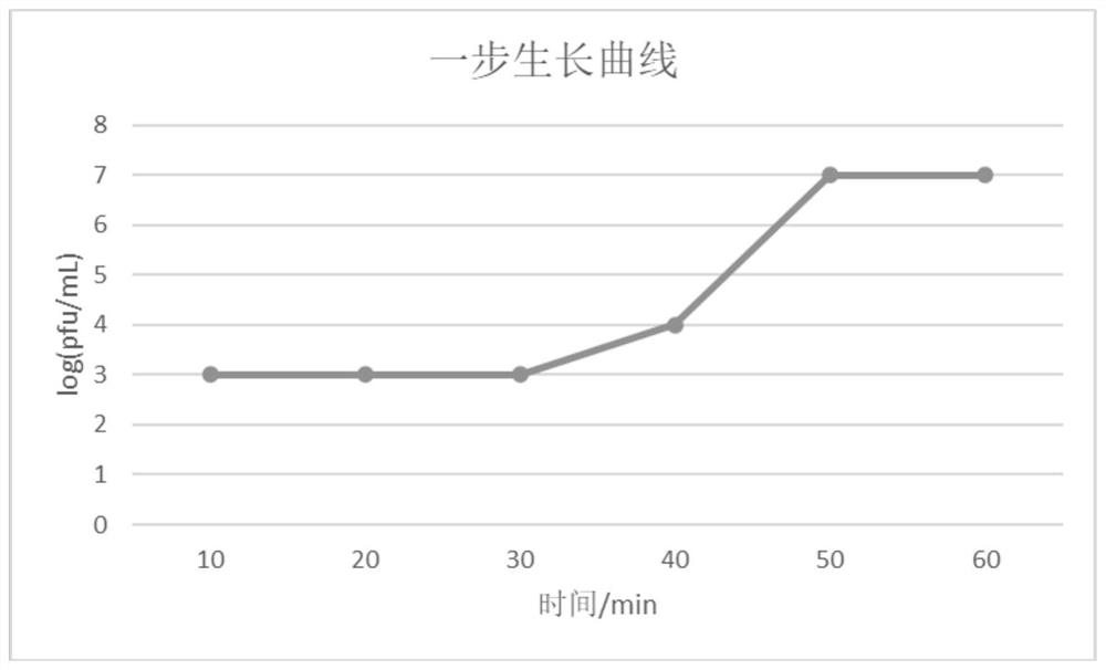 High-cracking pseudomonas aeruginosa bacteriophage RDP-PA-20001 and application thereof