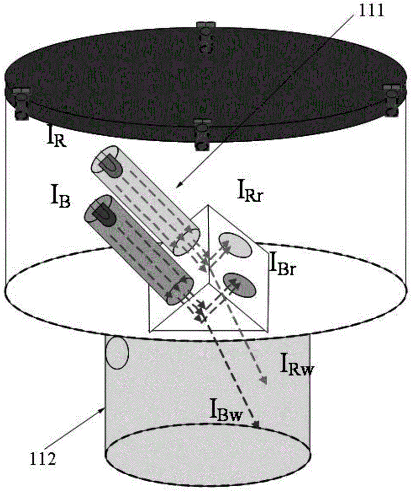 Method and device for in-situ determination of chlorophyll and turbidity in water body