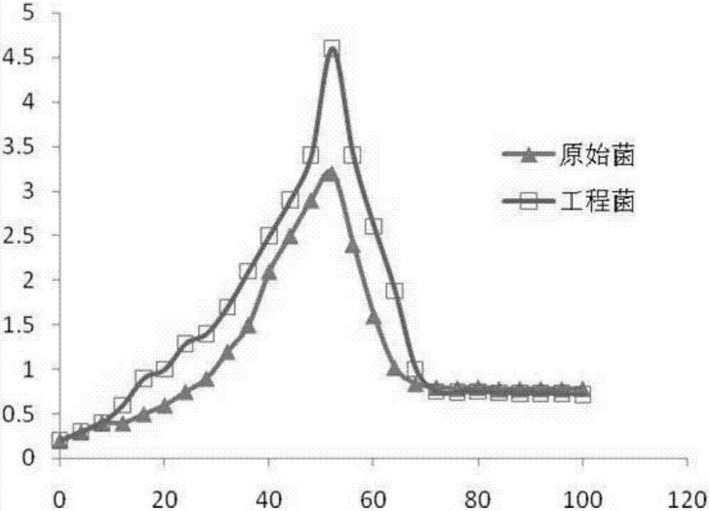 Gene-recombined peoriae paenibacillus, and construction method and application thereof