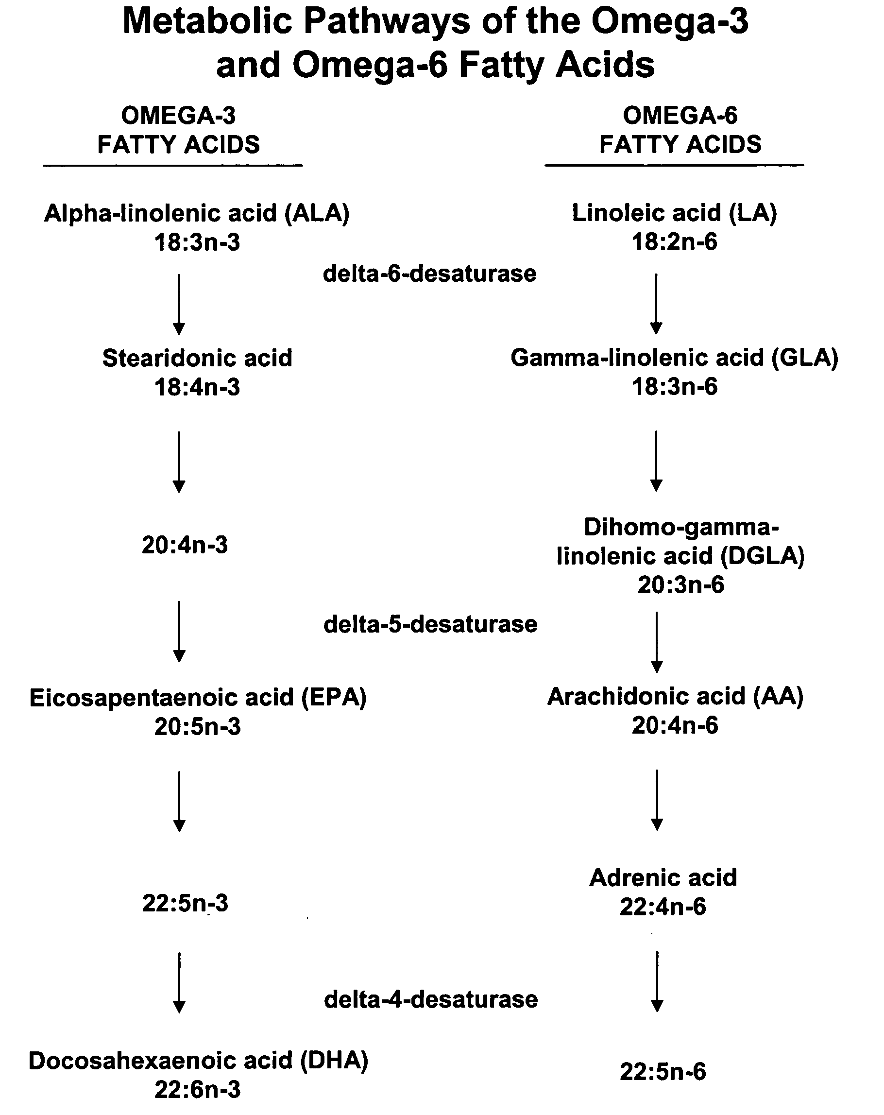 Methods of pharmaceutical separation from plants