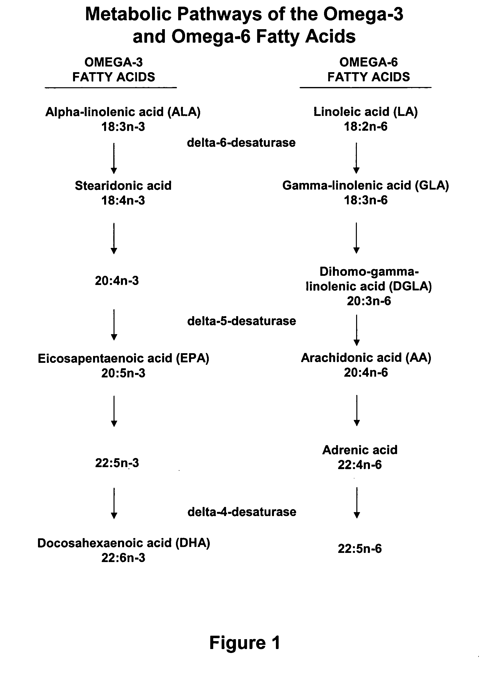 Methods of pharmaceutical separation from plants