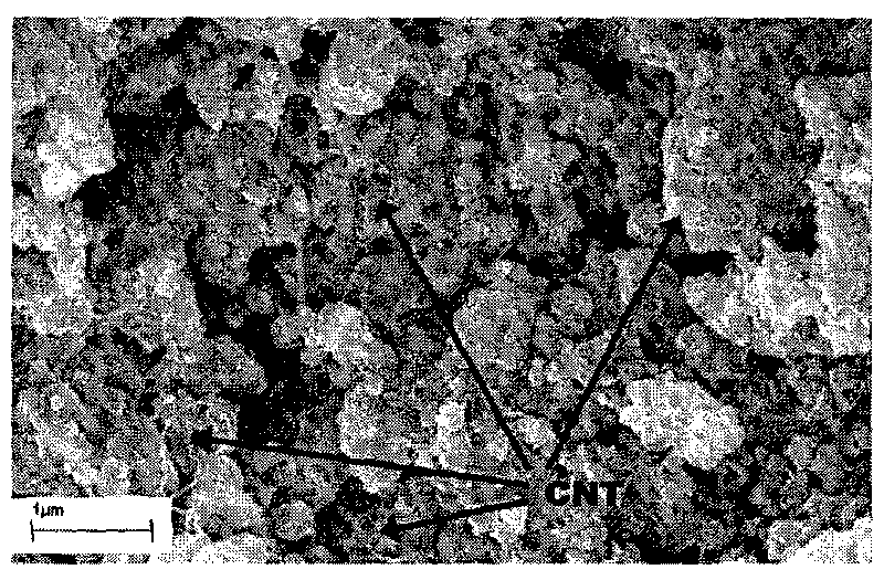 Preparation method of composite cathode material of lithium iron phosphate and carbon nano-tubes