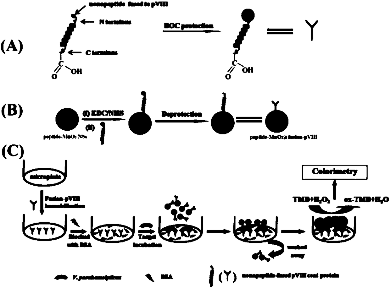 A method for detecting pathogenic microorganisms