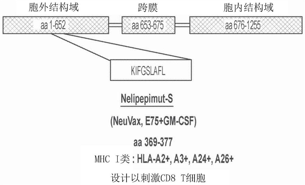 Combination immunotherapy for treatment of triple-negative breast cancer