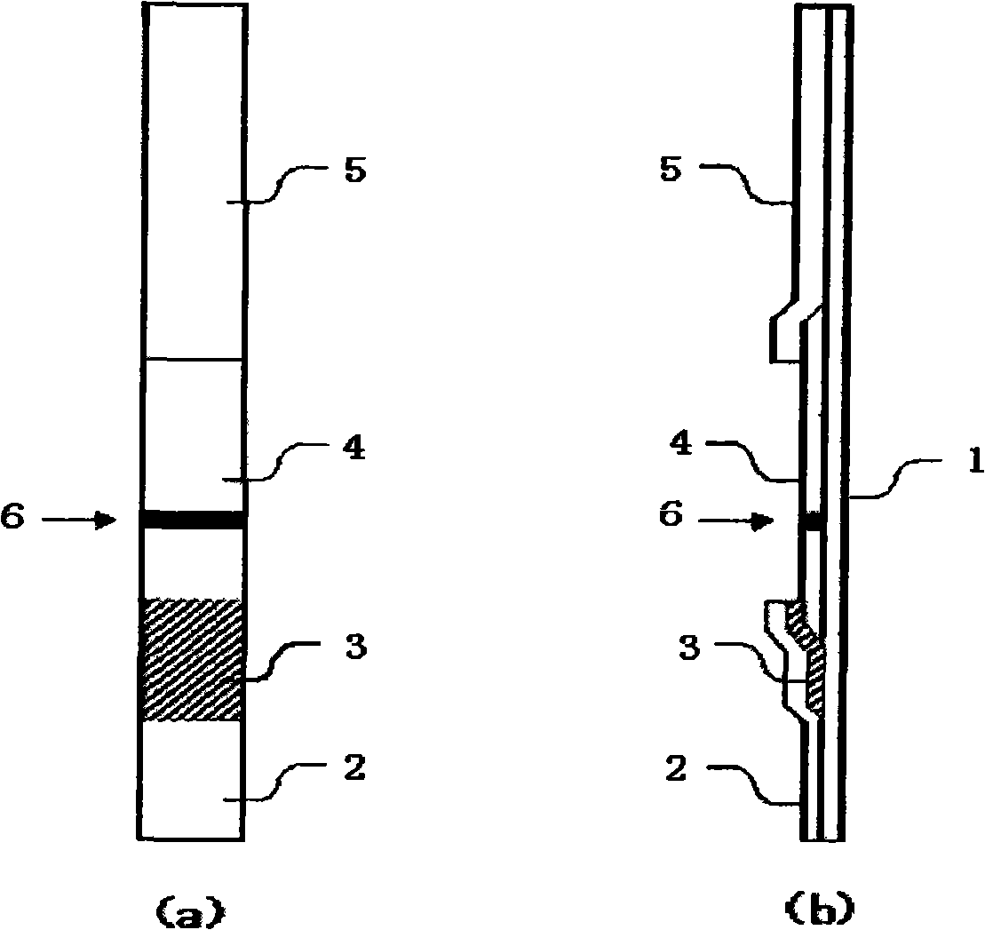 Method for determination of SARS virus nucleocapsid protein, reagent kit for the determination, test device, monoclonal antibody directed against SARS virus nucleocapsid protein, and hybridoma capable