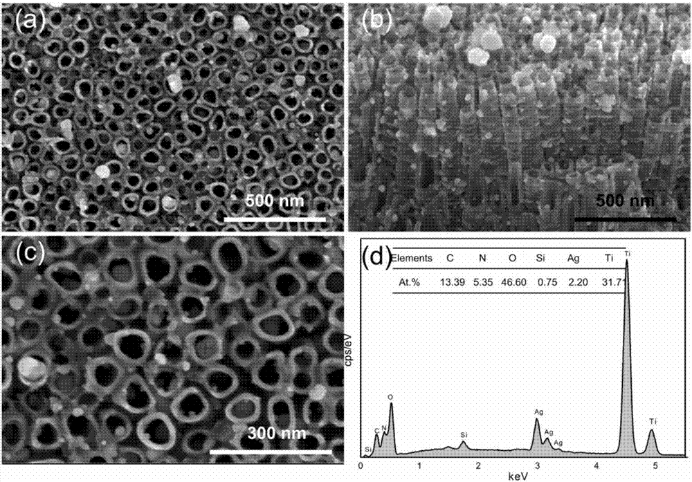 Dental implant and preparation method of bioactive antibacterial surface of dental implant