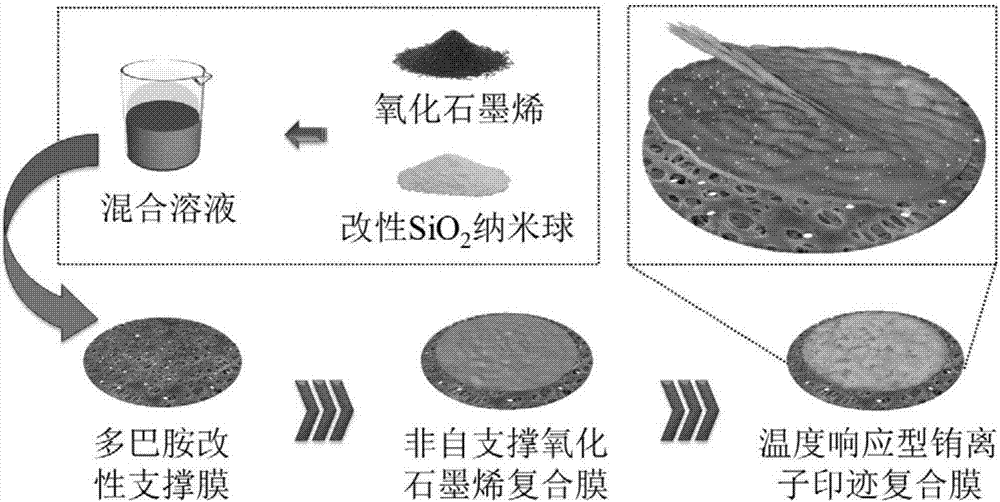 Temperature response type europium ion imprinting composite membrane preparation method and application