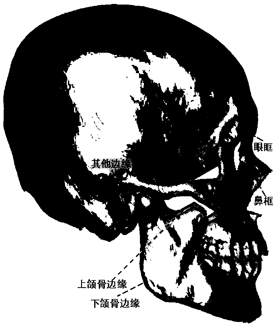 Automatic registration method and device for three-dimensional skull