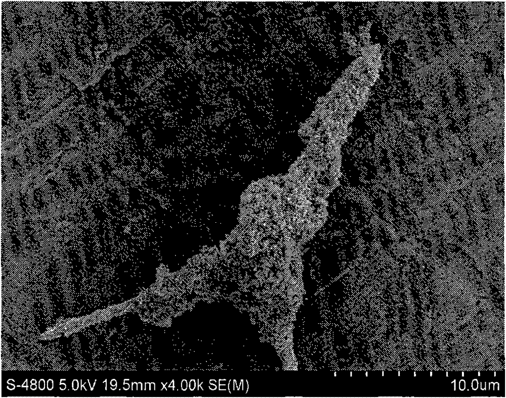 Quadrilateral zinc oxide/ nickel ferrite material and preparation method thereof