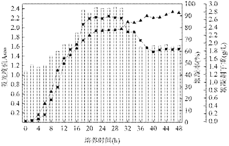 Bioflocculant fermentation method with mycelium pellet as vector